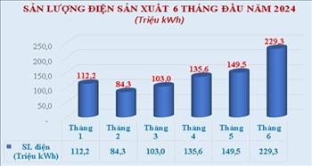 Dong Nai Hydropower Company exceeded electricity production plan in the first six months of 2024