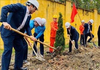 Nearly 500 new trees have been planted at the Uong Bi Thermal Power Company